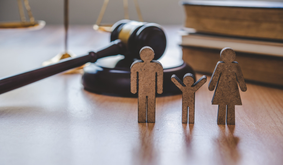 Lawyer Scales Justice - Law Concepts on Human Rights